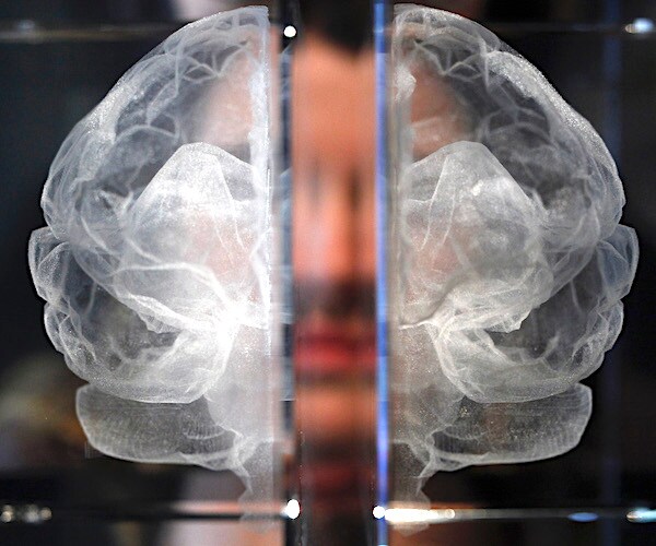 a mockup of a brain in a science exhibit