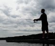 N.Y. Deems Some Hudson River Fish Safe to Eat
