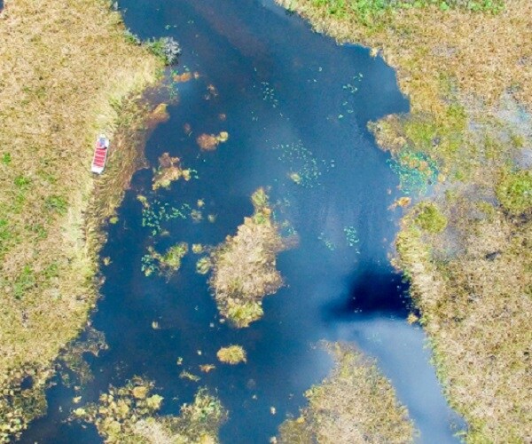 Everglades Collision in Midair Kills 3 on 2 Small Planes