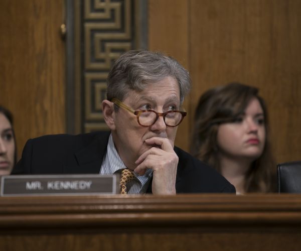 GOP Sen. Kennedy: Dems 'Doubling Down on Stupid'