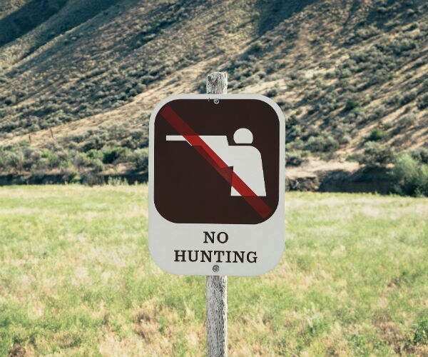 no hunting