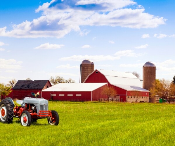 Farm Dust Protects Against Asthma, Allergies: Study