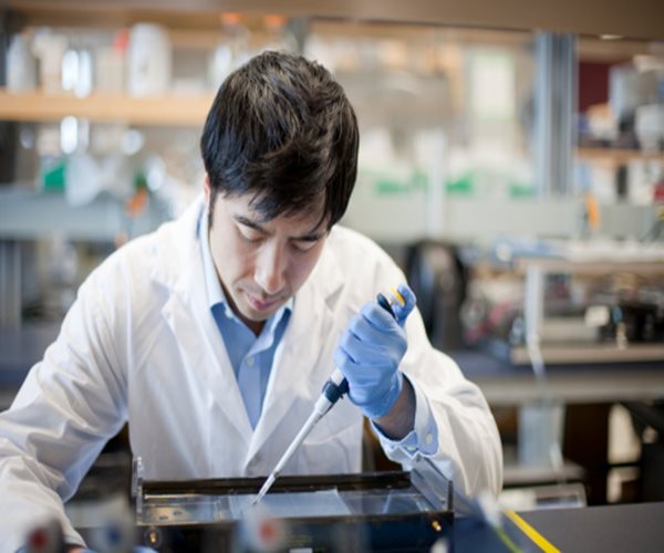 Scientists Grow Mouse Eggs from Stem Cells in Lab