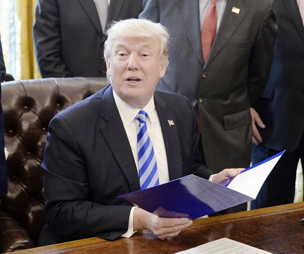 Trump to Launch Panel to Investigate Voter Fraud