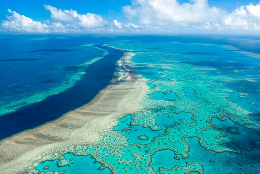 'Crisis': Climate Panel Flags Great Barrier Reef Devastation