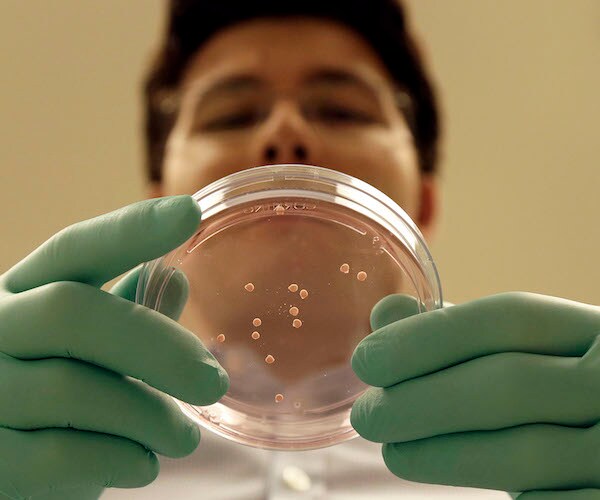 a doctor looks down through a clear covered petri dish at a medical sample