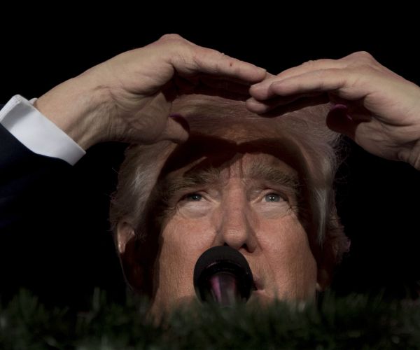 Trump Presidency as Predictable as Trump Campaign