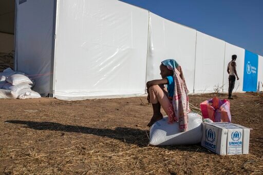 Ethiopian Leader Rejects International 'interference' in war