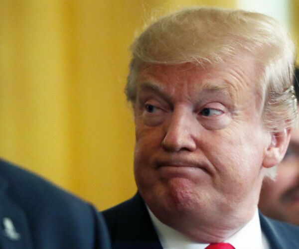 president donald trump is shown