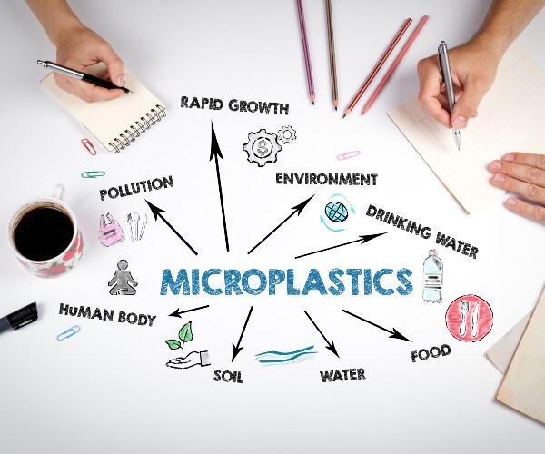 intrusion of microplastics 