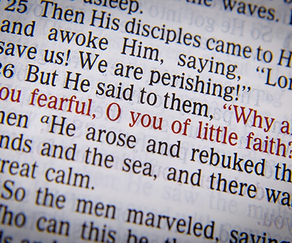 book of john the holy bible 