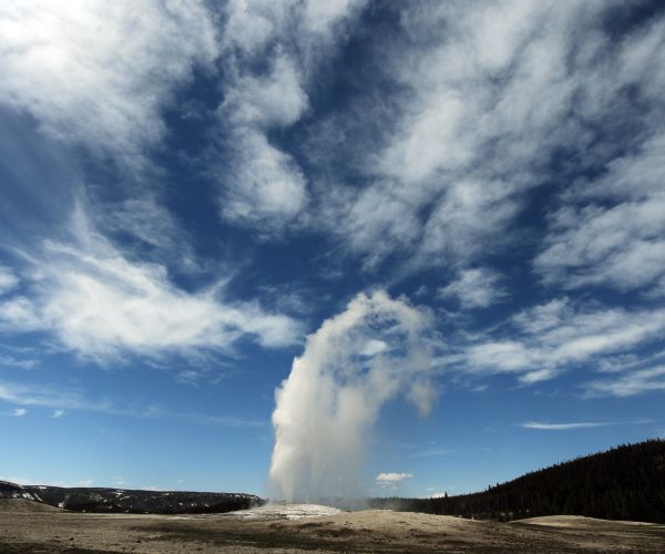 My American Love Affair