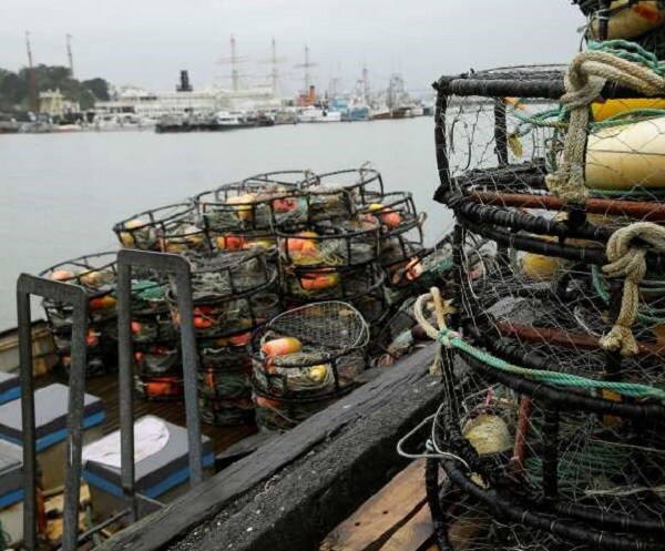 Crab Strike: Boats Stay Tied Up as Seafood Processors Offer Less