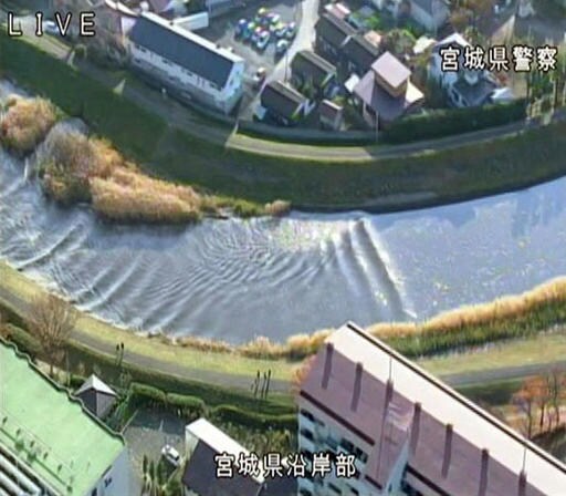 A Scare, Then Relief after Powerful Japan Quake and Tsunami