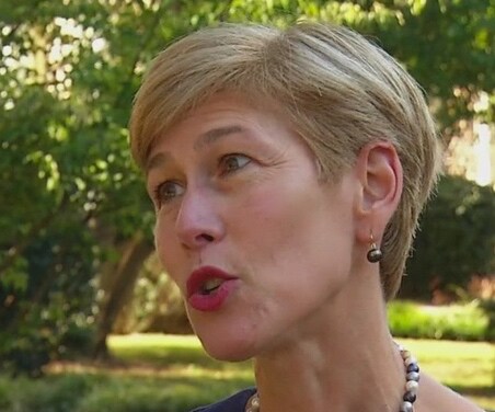 Democratic Senate Group Backs Ross in North Carolina Primary