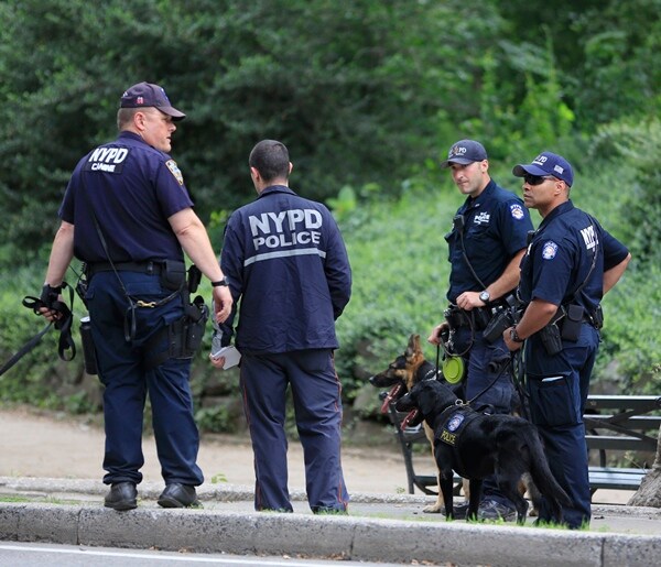Nearly 9 Months Later, Central Park Blast Remains a Mystery