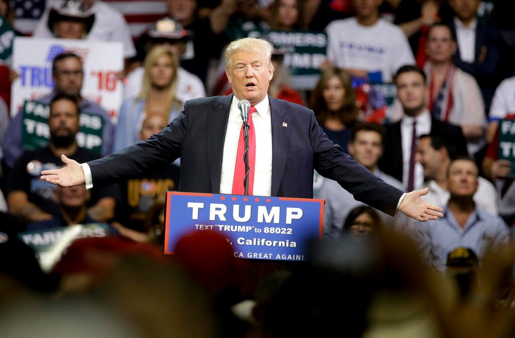 Stephen Hawking Baffled by Dynamics of Trump's Popularity