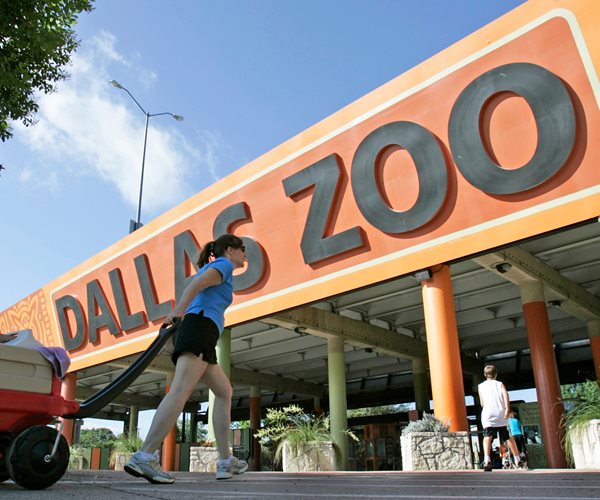 Dallas Zoo