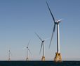 Biden Admin Studies Plan to Pay Fishing Industry for Offshore Wind Impacts
