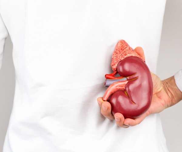 woman in white holding a model kidney behind back