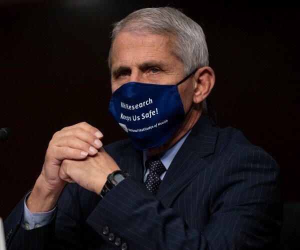 anthony fauci sits with hands together