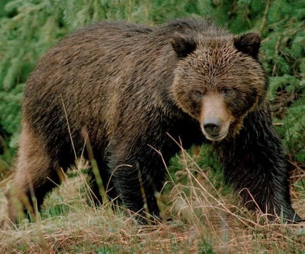 The S&P 500 Is in a Bear Market; Here's What That Means