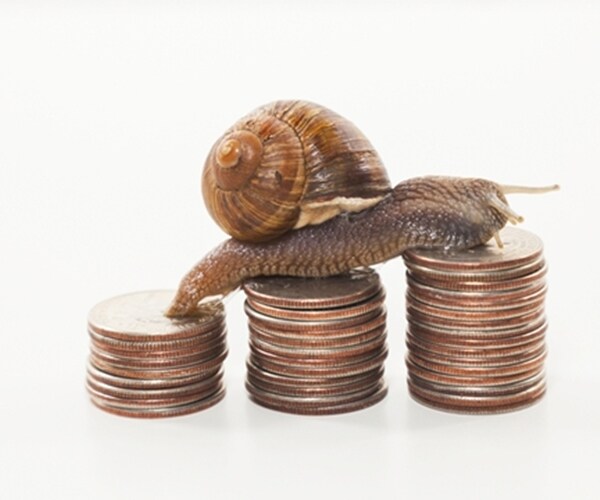 snail on the coins against white background- slow economy concept