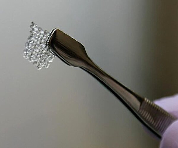 3-D Printed 'Ovary' Allows Mouse to Give Birth