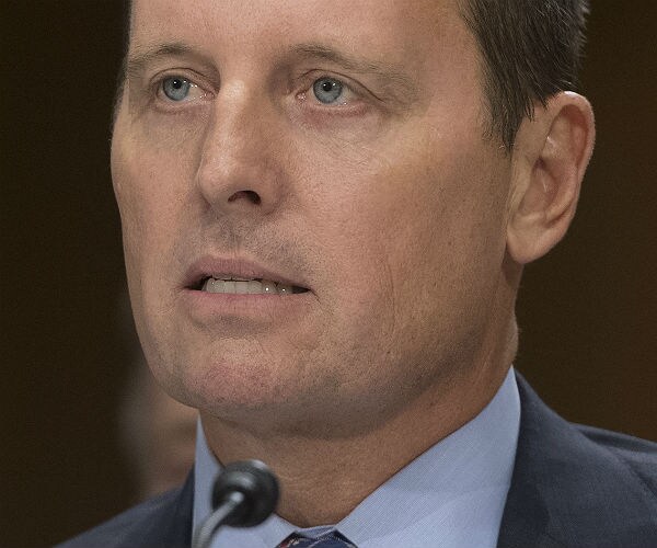 Amb. Grenell: United States, Germany 'Totally on Same Side'