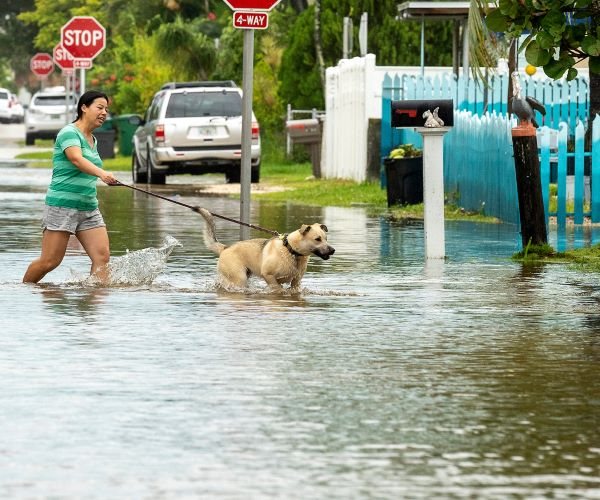 Airlines Scrap 1,200 Flights as Ian Nears Florida
