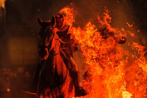 Horses Leap Through Flames, Pets Go to Church in Spanish Animal Rituals Honoring St. Anthony