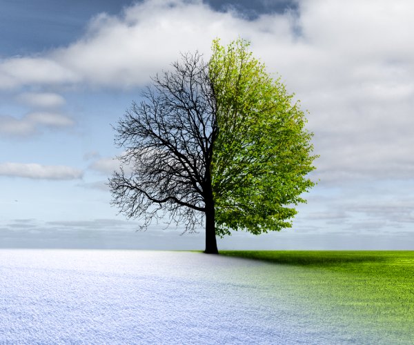 climate change is depicted