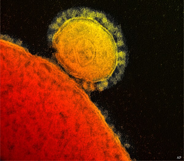MERS Virus Kills 3 More in Saudi Arabia, Bringing Toll to 47