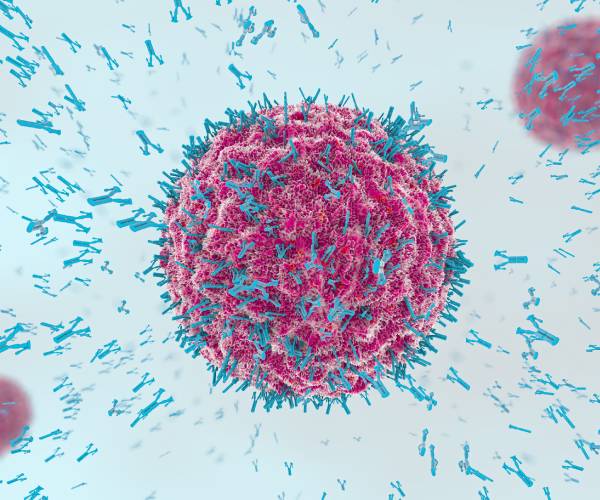 illustration of an antibody attacking a coronavirus