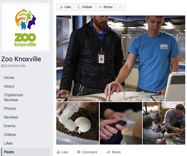 33 Reptiles Suddenly Die at Tennessee Zoo