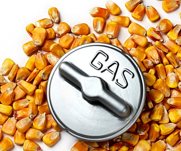 Trump Officials Agree on Plan to Boost Ethanol, Biodiesel