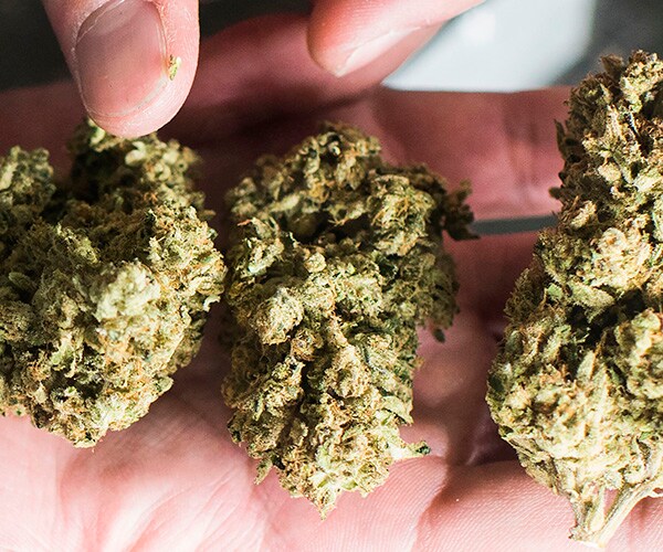 Tennessee Medical Marijuana Bill Takes Step Forward