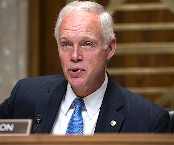 ron johnson speaks during a senate committee hearing