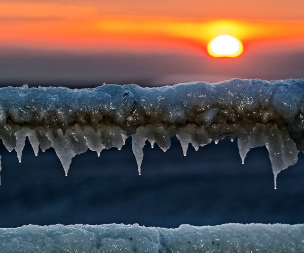 Grant Trieber and Ada: Old Couple Die Hours Apart in Cold