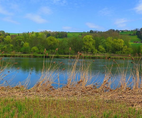 Washington State Man Who Moved a River Ordered to Pay Restitution