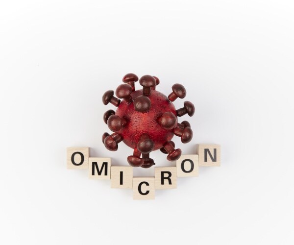 a model of the omicron virus