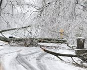 US Braces for More Cold; Storm Death Toll at 29