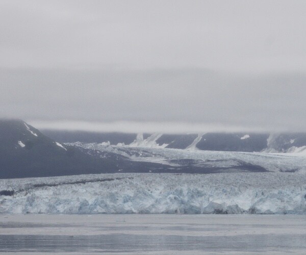 Trump Gets $2.75 Million Donation to St. Jude's at Mar-a-Lago New Year's Party