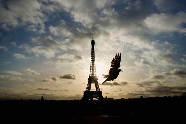 France Votes for Presidential Finalists After Tight Campaign