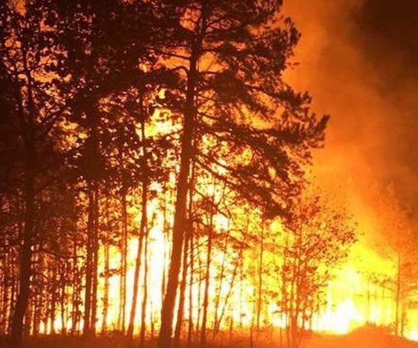 Raging Wildfires in South Force Evacuations in Tennessee