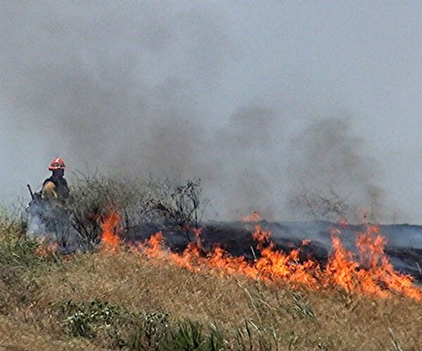 Brush Fire Sets Off Evacuation at Six Flags Magic Mountain