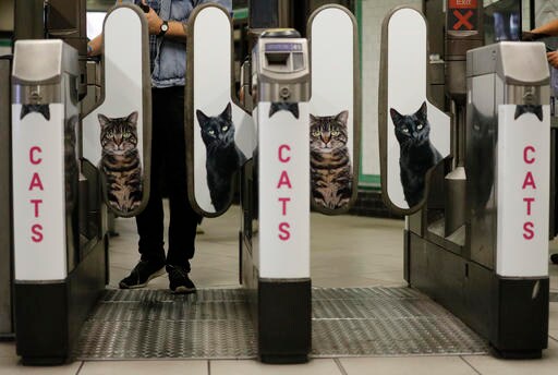 Cats-R-Us: Ads Out, Felines in at London Tube Station