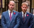 Prince William Rips Prince Harry for 'Putting Fame Over Family'