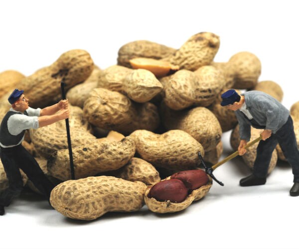 HR Study: Only 4% of Companies Gave Raises Tied to Tax Cuts