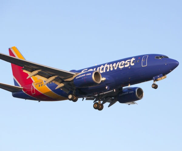Bird Strike Forces Southwest Jet to Make Emergency Landing